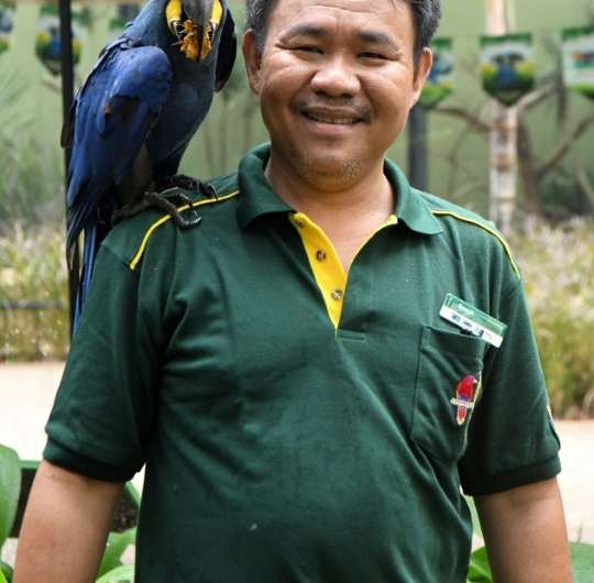 Razali Bin Mohamad Habidin communicates with the birds through grunts, gestures and body languages and said he recognises the bi