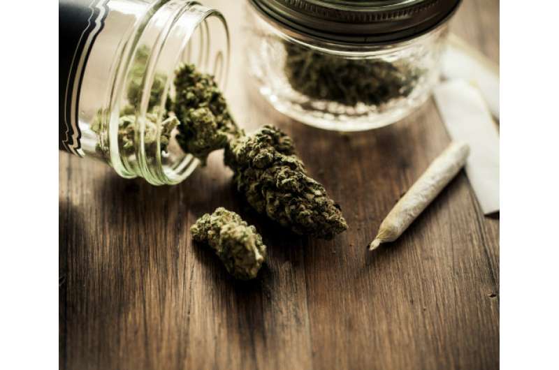 俄勒冈州最近的一项研究显示，公众认为酒精比大麻更有害