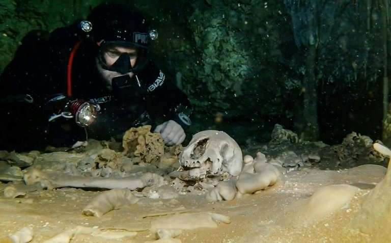 Remains of a Pleistocene bear from 2.5 million years ago, in the  Sac Actun underwater cave in Quintana Roo state, Mexico, in an