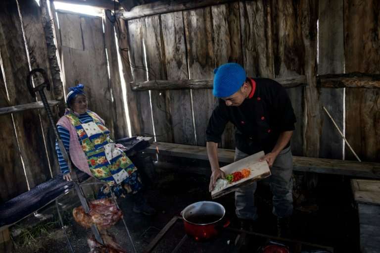 Rene Melinir (R) prepares a traditional Mapuche dish made using the fruit of the &quot;Monkey Puzzle&quot; tree