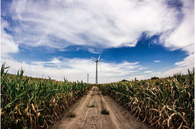 renewable crops
