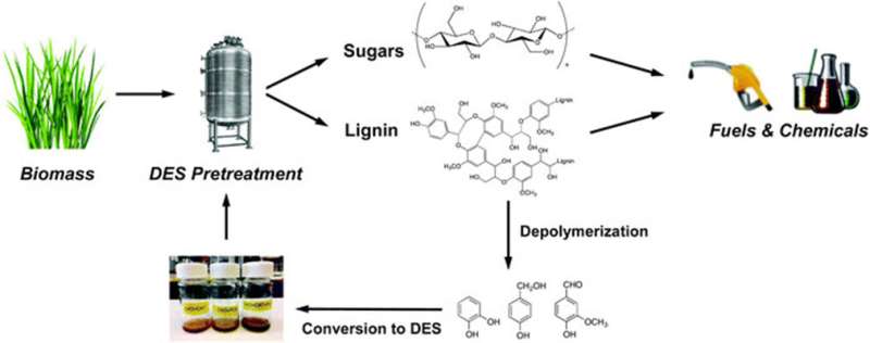 Renewable solvents derived from lignin lowers waste in biofuel production
