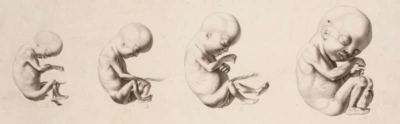 Reproduction: From Hippocrates to IVF