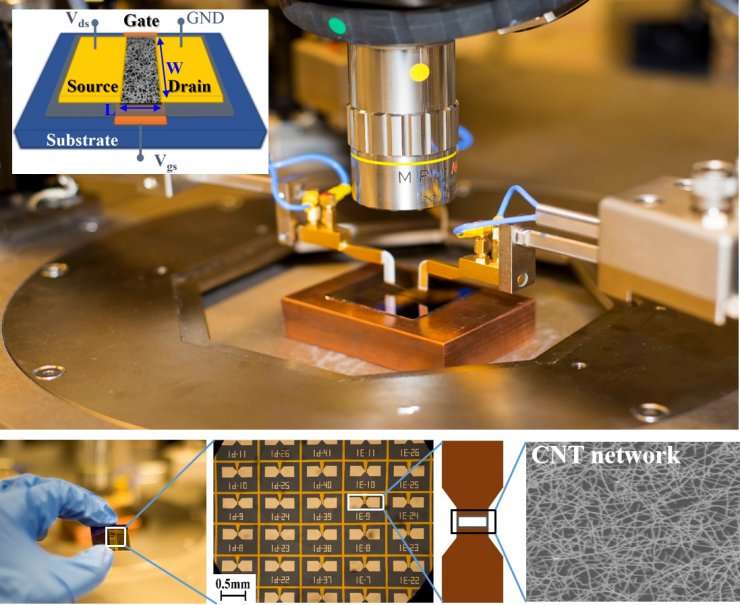 Research charts the way to more reliable carbon-based microelectronics