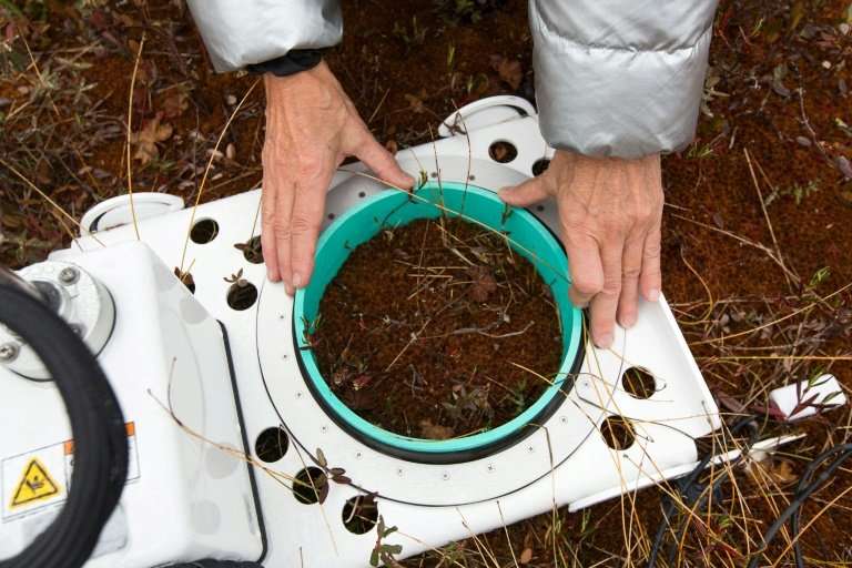 Researcher Michelle Garneau from the University of Quebec in Montreal tests soil in a peat bog to gauge the climate impact of th