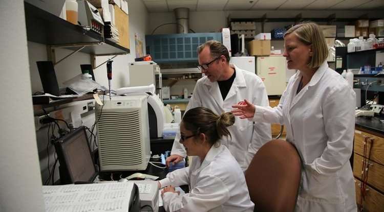 Researcher uses "shotgun sequencing" to study microorganisms