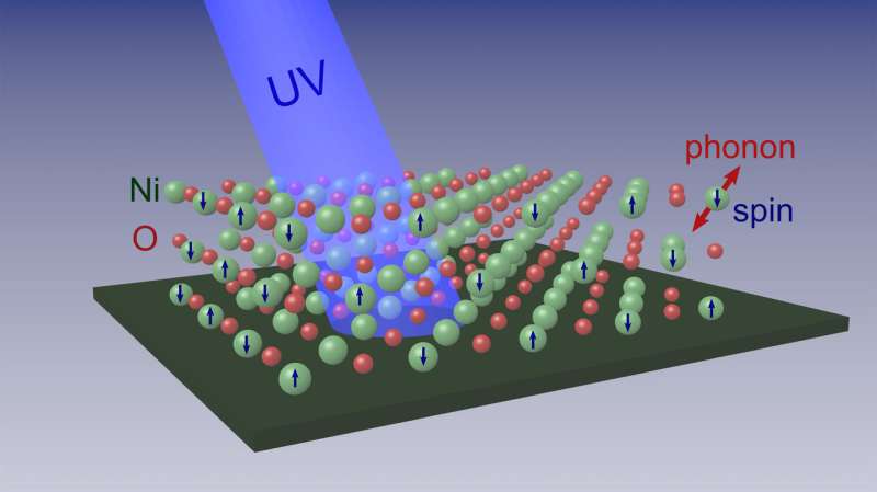 Research team determines how electron spins interact with crystal lattice in nickel oxide