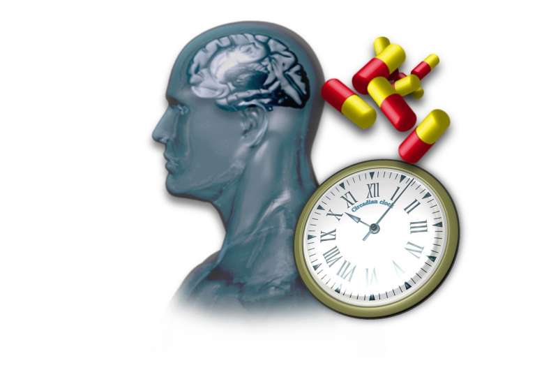 Revisiting existing drugs finds molecules that control body clocks