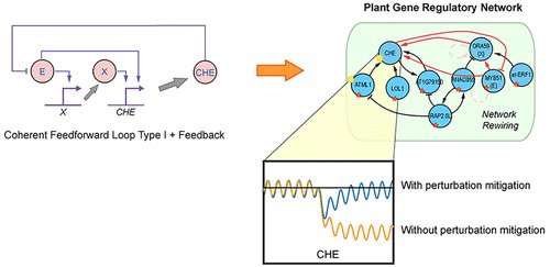 Rewiring plant defence genes to reduce crop waste