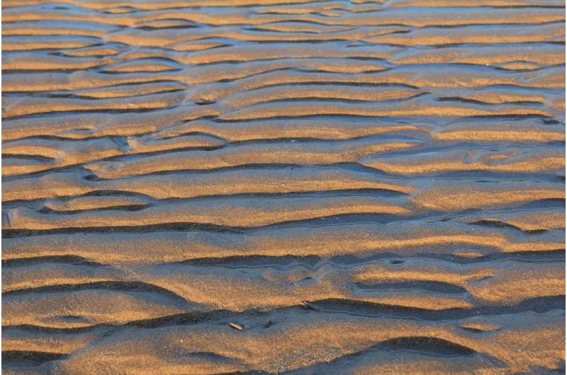 ripples sand