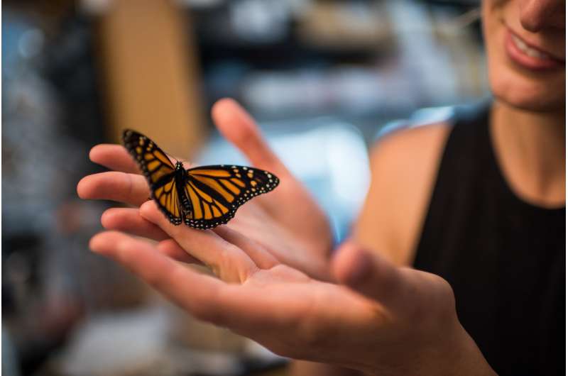 Rising carbon dioxide levels pose a previously unrecognized threat to monarch butterflies