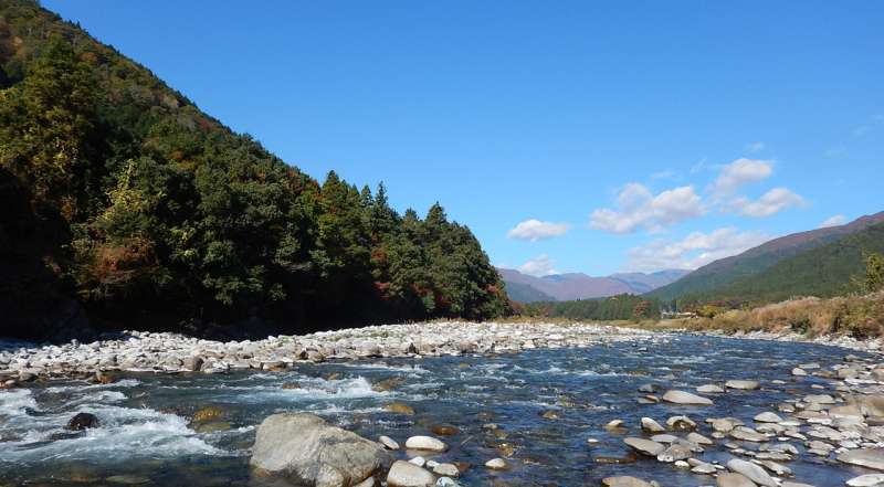 River complexity maintains regional population stability