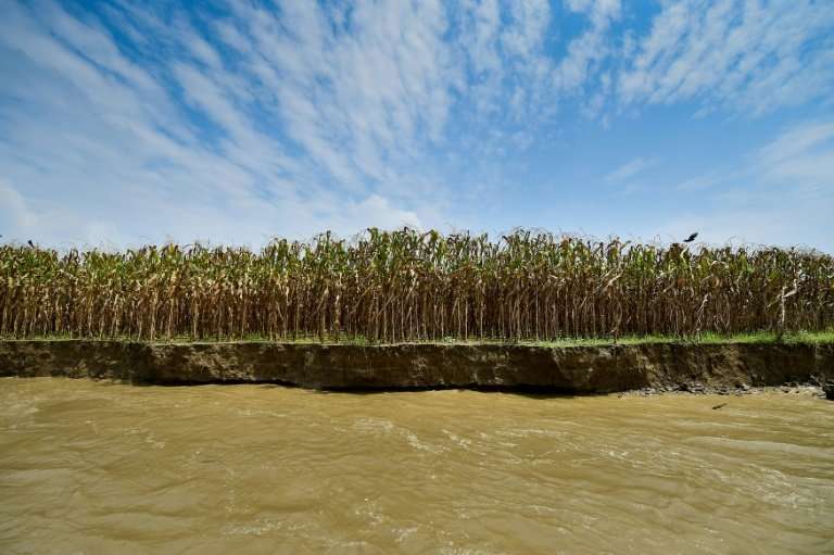 River erosion—though long a phenomenon in the delta nation—is rapidly accelerating due to climate change, experts say