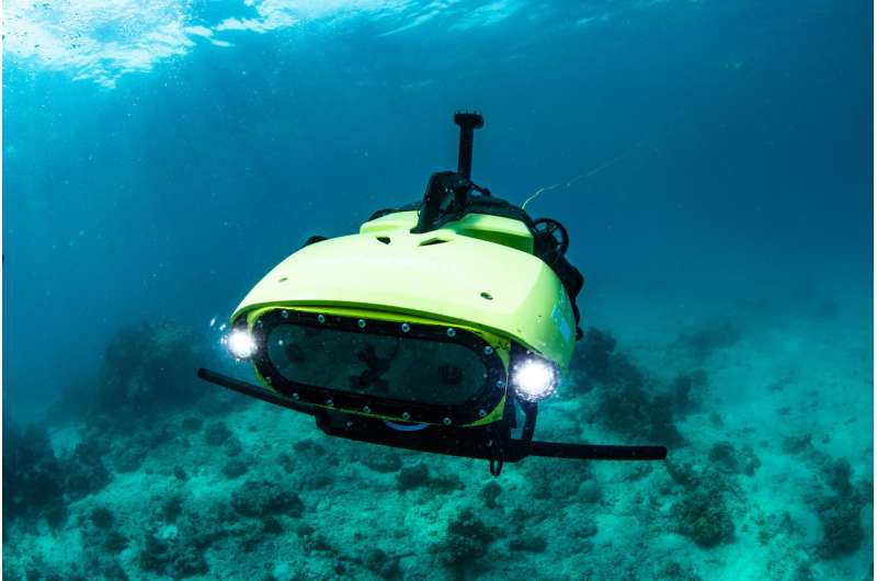 Robot makes world-first baby coral delivery to Great Barrier Reef