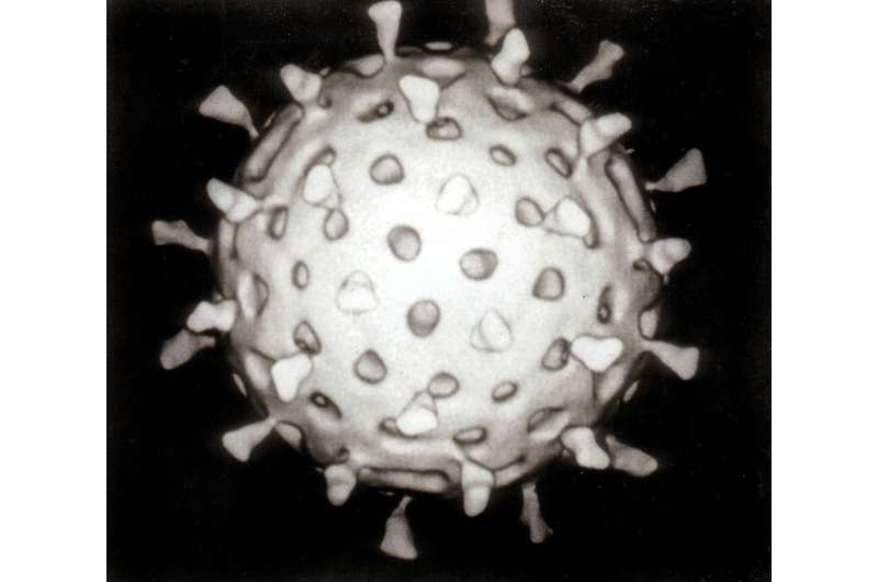 Rotavirus transmission influenced by temperature, water movement