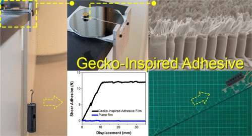 Scaling to new heights with gecko-inspired adhesive