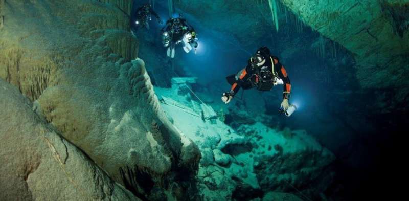 Scientist dives hundreds of underwater caves hunting for new forms of life