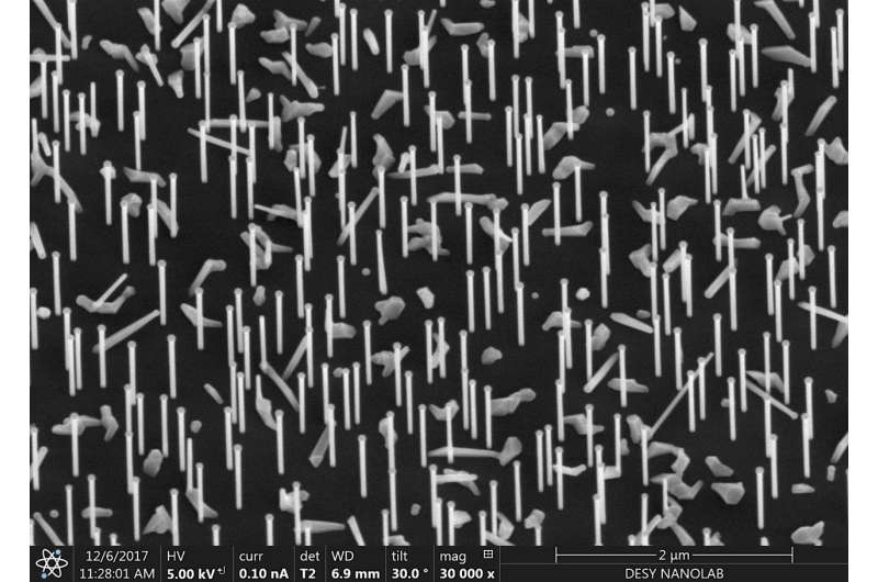 Scientists observe nanowires as they grow
