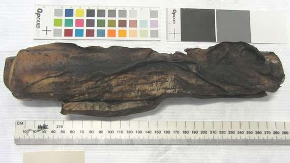 Scientists 'virtually unravel' burnt 16th century scroll