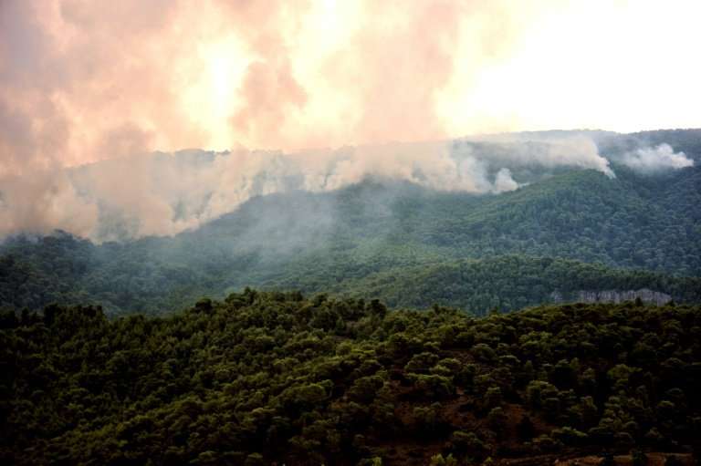 Scorching hot weather set the conditions for Greece's deadly wildfires