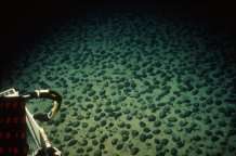 Seabed mining could destroy ecosystems