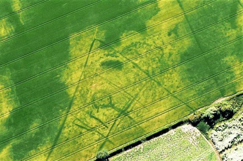 Seen from the air, the dry summer reveals an ancient harvest of archaeological finds