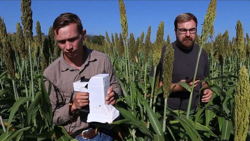 Sensor gives farmers more accurate read on plant health, provides valuable crop data