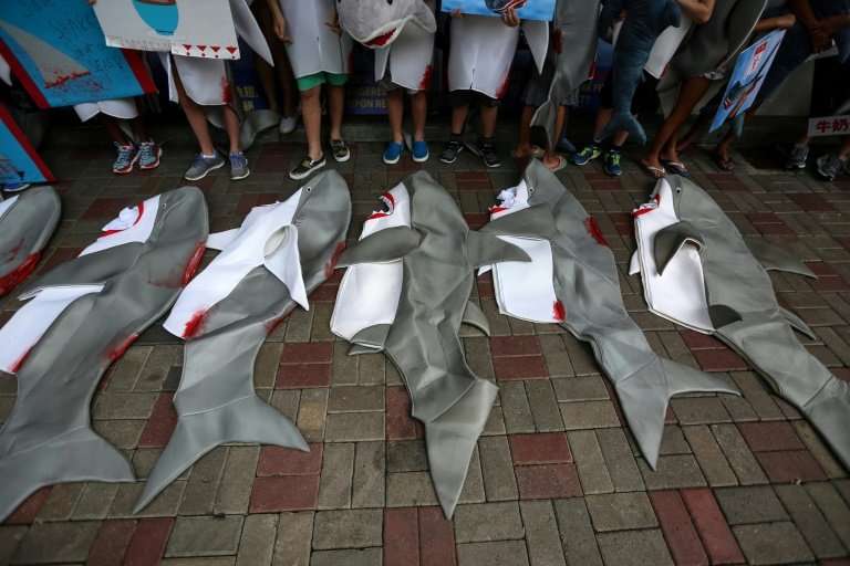 Shark costumes lie at the feet of activists as they take part in a protest against the use of shark's fins in food in Hong Kong 