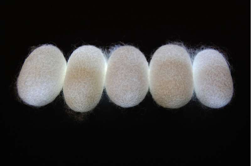 Silk fibers could be high-tech ‘natural metamaterials’