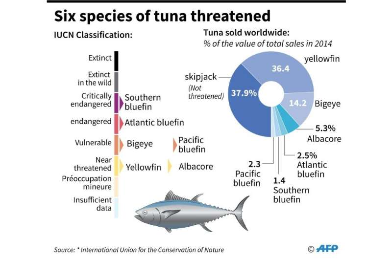 Six species of threatened tuna species