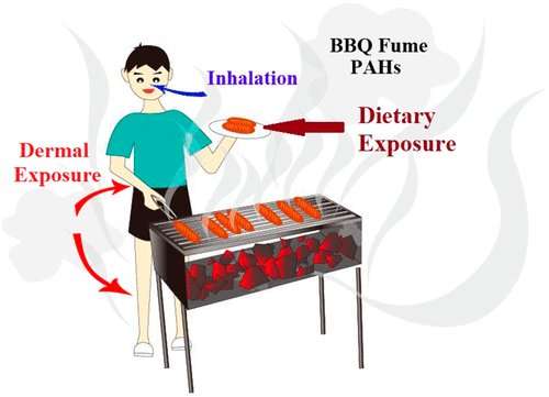 Skin responsible for greater exposure to carcinogens in barbecue smoke than lungs