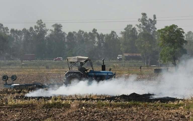 Slash-and-burn farming is illegal but deterrents, such as fines of up to $200 for farmers flouting the law, appear to have limit