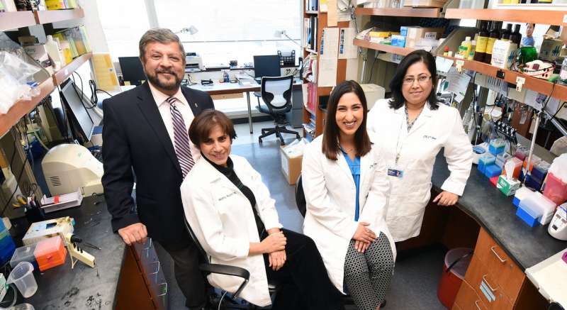 Small molecule plays a big role in reducing cancer's spread