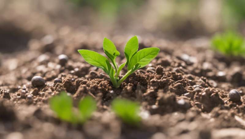 Smart gardens to help save Earth’s soil