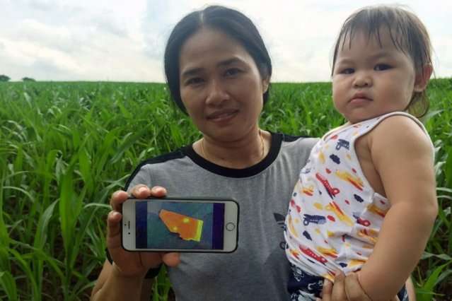 Social enterprise Ricult uses digital tools to empower rural farmers in developing countries.