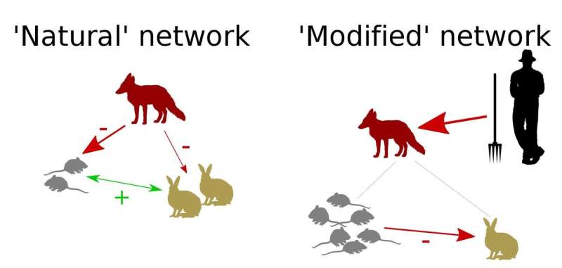 Social network models provide new tool for ecology studies