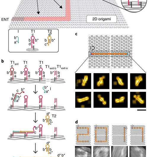 Solving Mazes with Single-Molecule DNA Navigators