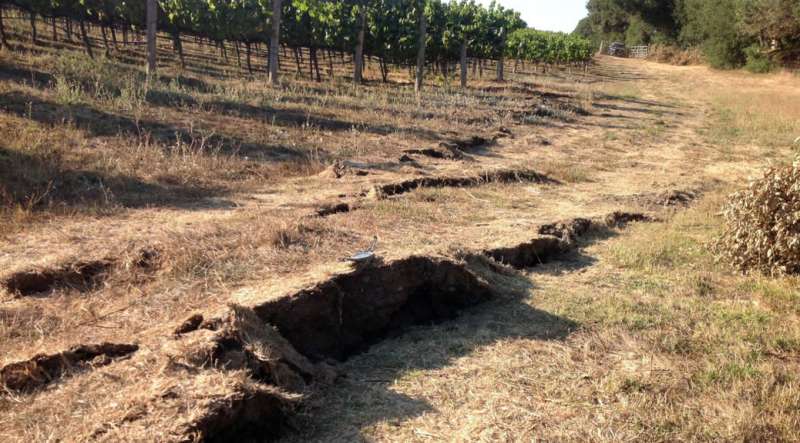 South Napa earthquake linked to summer groundwater dip