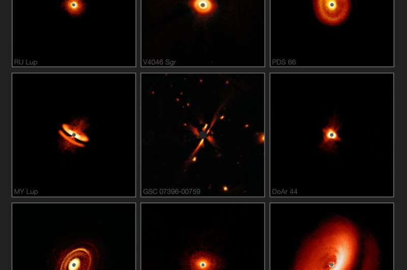 SPHERE reveals fascinating zoo of discs around young stars