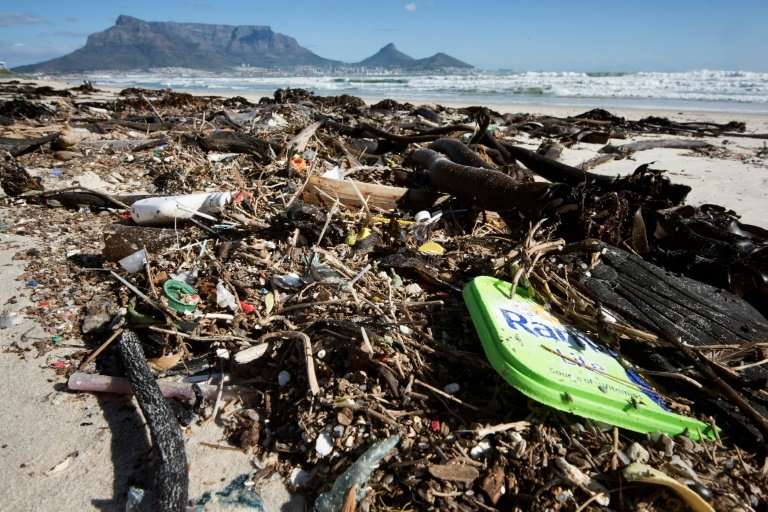 Spoiled seas: Plastic comprises most of the debris washed up on a beach near the South African city of Cape Town, whose fabled T