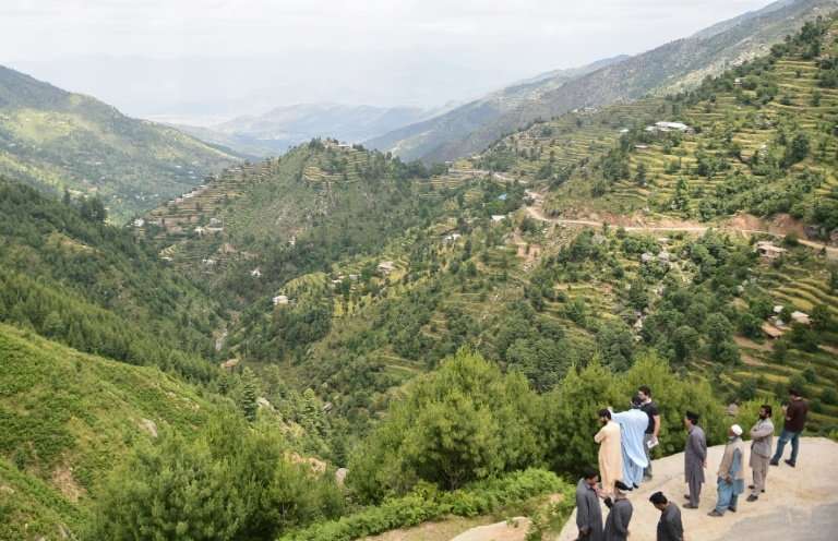 Staff from the Khyber Pakhtunkhwa forest department overlook the forest in Swat valley, northwestern Pakistan