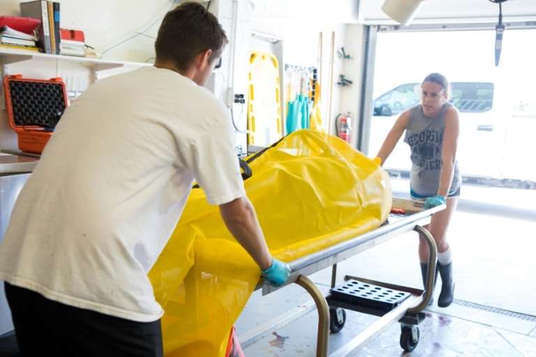 Staff with the Sarasota, Florida Mote Marine Laboratory remove the body of a dolphin—one of 48 found dead in southwest Florida b