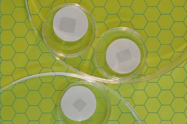 Stamp-sized graphene sheets riddled with holes could be boon for molecular separation