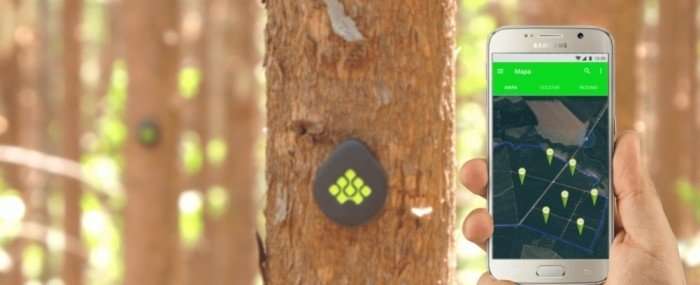 Startup innovates by developing IoT technology for forestry sector