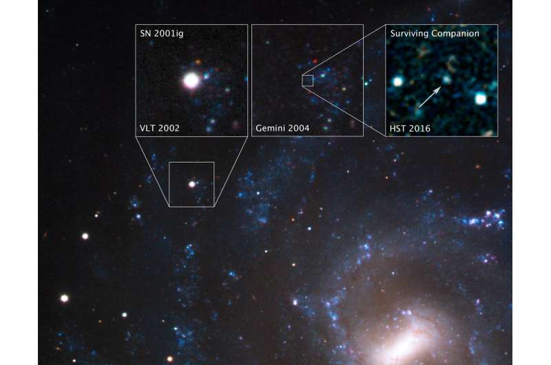 Stellar thief is the surviving companion to a supernova