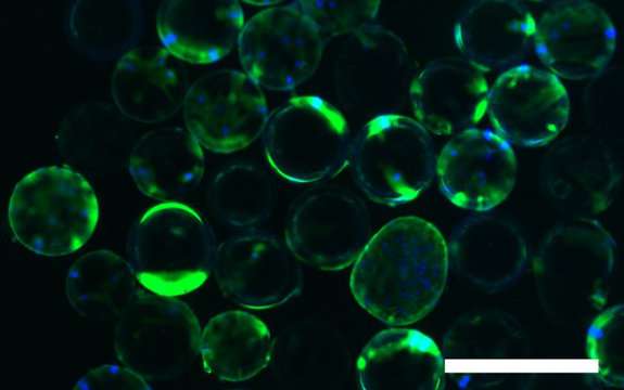 Stem-cell technology aids 3-D printed cartilage repair
