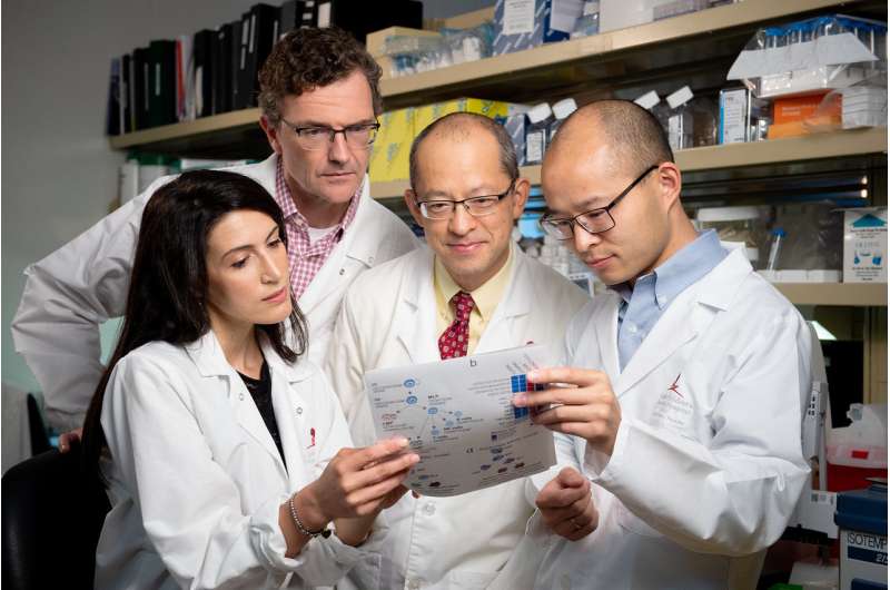 St. Jude researchers solve a central mystery of a baffling high-risk leukemia