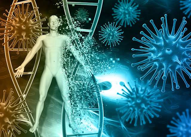 Strategy introduces stable components of flu virus for long-lasting, DNA-enhanced protection