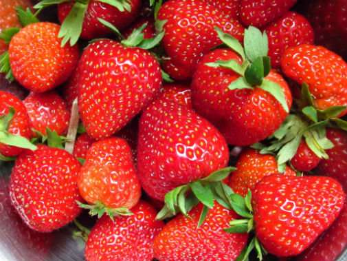 Strawberries safe for children with cancer