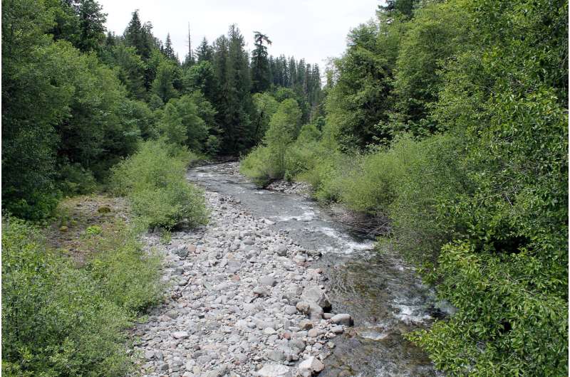 Streams may emit more carbon dioxide in a warmer climate